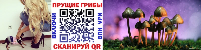 Галлюциногенные грибы MAGIC MUSHROOMS  Приволжск 