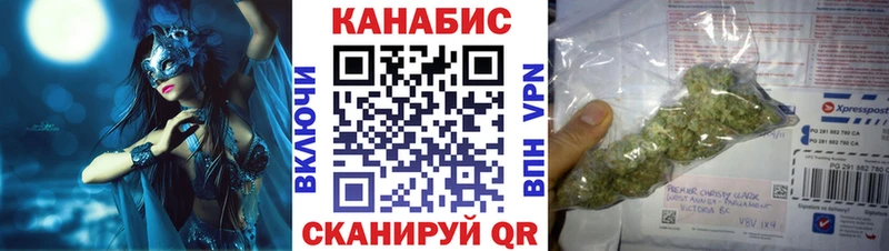 Конопля план  Приволжск 